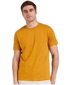 Men's Round Neck Soft & Breathable Cotton T shirt